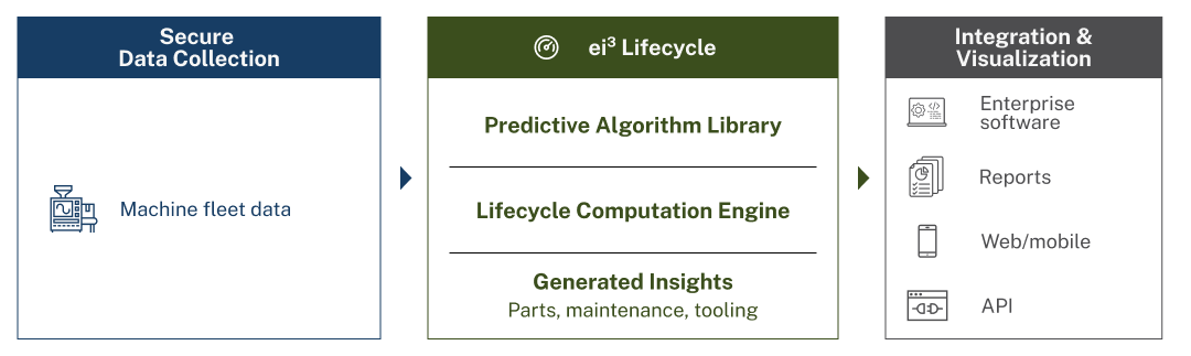 lifecycle